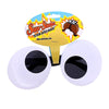 Googly Eye Sunglasses